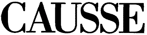 CAUSSE