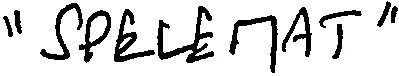 "SPELEMAT"