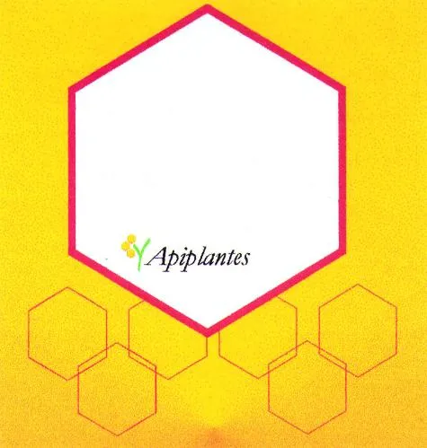 Apiplantes