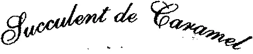 Succulent de Caramel