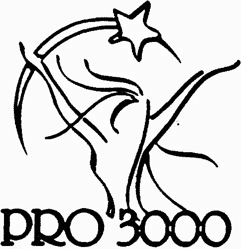 PRO 3000