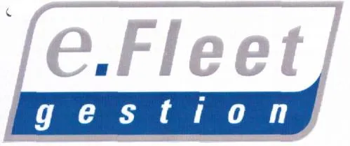 e.Fleet gestion