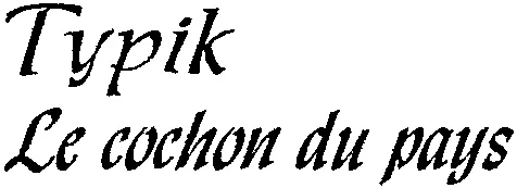 Typik Le cochon du pays