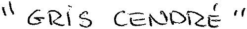 “ GRIS CENDRÉ ”