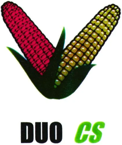 DUO CS