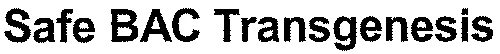 Safe BAC Transgenesis