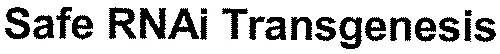 Safe RNAi Transgenesis