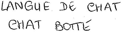 LANGUE DE CHAT CHAT BOTTE