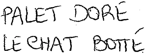PALET DORE CHAT BOTTE