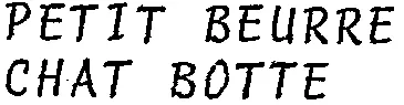 PETIT BEURRE CHAT BOTTE