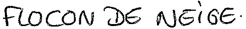 FLOCON DE NEIGE