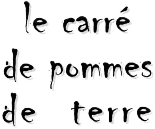 le carré de pommes de terre