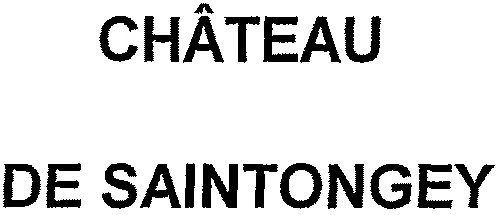 CHÂTEAU DE SAINTONGEY