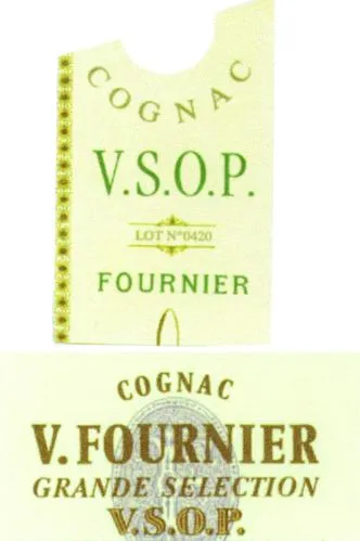 FOURNIER V. FOURNIER