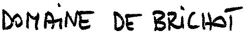 DOMAINE DE BRICHOT