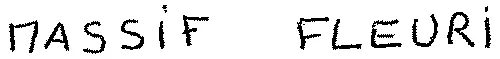 MASSIF FLEURI