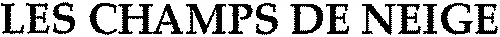 LES CHAMPS DE NEIGE