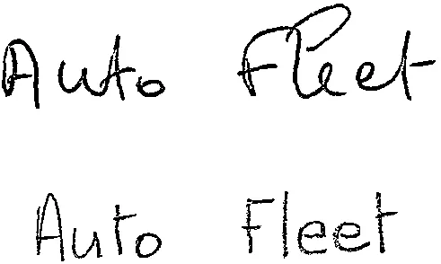 Auto Fleet