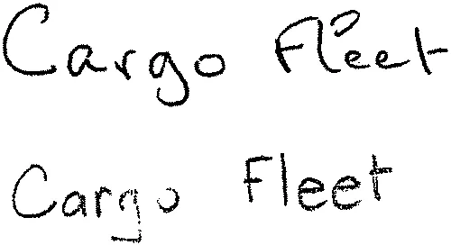 CARGO FLEET