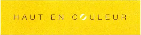 HAUT EN COULEUR