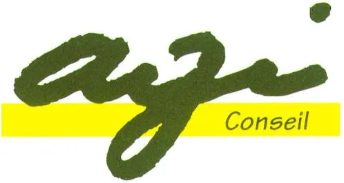 AGI CONSEIL