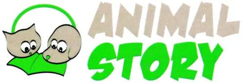 ANIMAL STORY