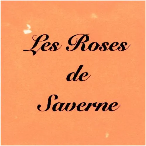 Les Roses de Saverne