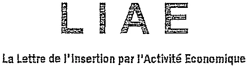 LIRE LA LETTRE DE L'INSERTION PAR L'ACTIVITE ECONOMIQUE