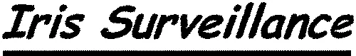 Iris Surveillance
