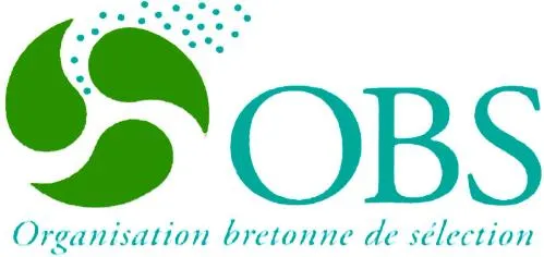 OBS ORGANISATION BRETONNE DE SELECTION