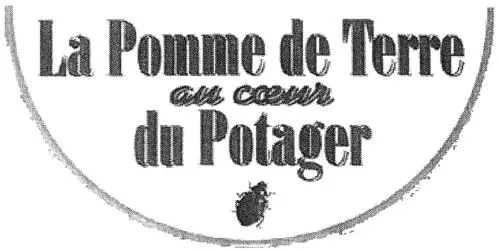 LA POMME DE TERRE AU COEUR DU POTAGER