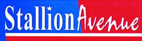 STALLION AVENUE