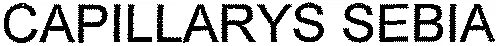 CAPILLARYS SEBIA