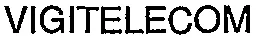 VIGITELECOM