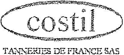 costil TANNERIES DE FRANCE SAS