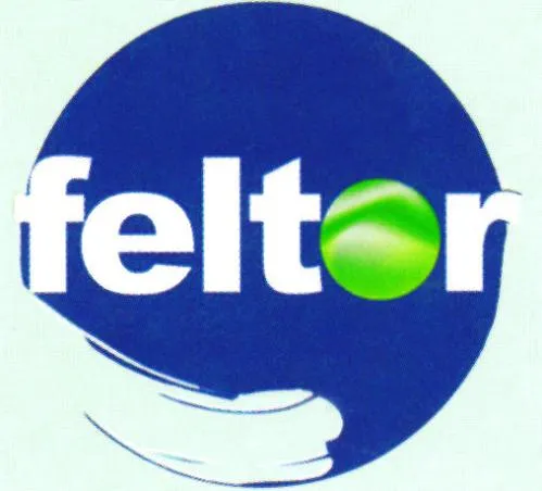 FELTOR