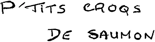 P'TITS CROQS DE SAUMON