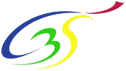 C 3 S