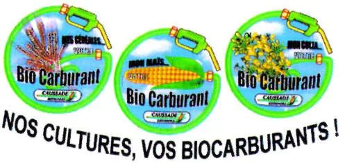 MES CEREALES VOTRE BIO CARBURANT CAUSSADE MON MAÏS VOTRE BIO CARBURANT CAUSSADE MON COLZA VOTRE BIO CARBURANT CAUSSADE NOS CULTURES, VOS BIOCARBURANTS!