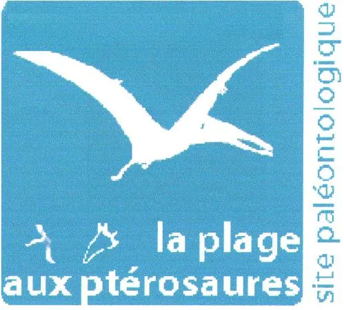 LA PLAGE AUX PTEROSAURE SITE PALÉONTOLOGIQUE