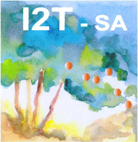 I2T – SA