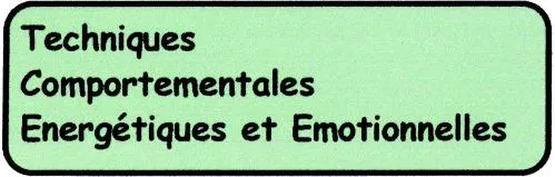 TECHNIQUES COMPORTEMENTALES ENERGETIQUES ET EMOTIONNELLES