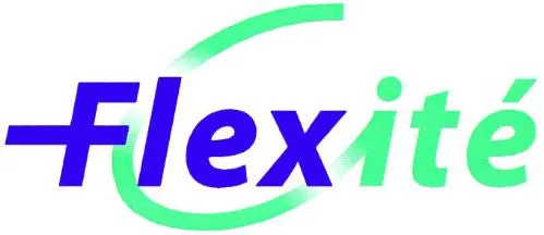 FLEXCITE