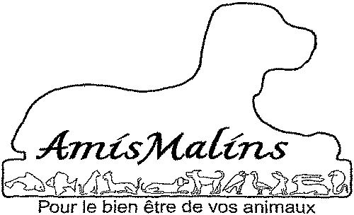 Amis Malins Pour le bien être de vos animaux