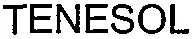 TENESOL