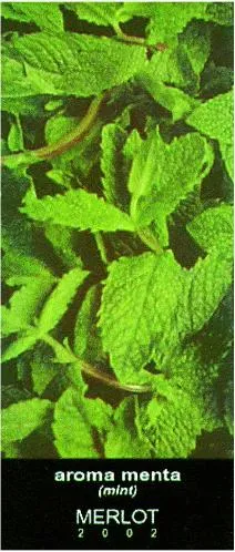 AROMA MENTA (MINT)