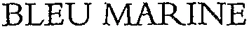 BLEU MARINE