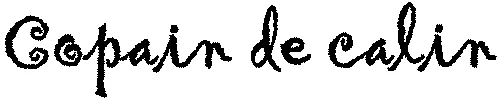 COPAIN DE CALIN
