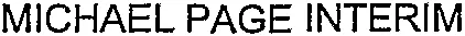 MICHAEL PAGE INTERIM