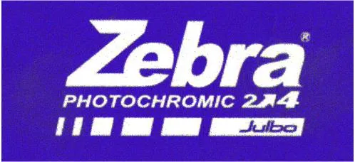 ZEBRA PHOTOCHROMIC 2 4 JULBO